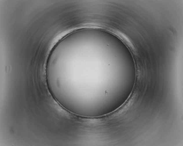 X0000113541192200909181150