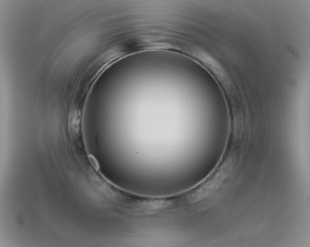 X0000113541193200909181150
