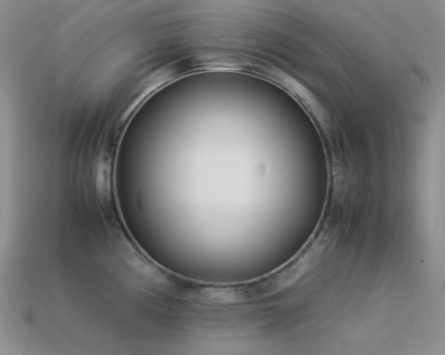 X0000113541194200909181150