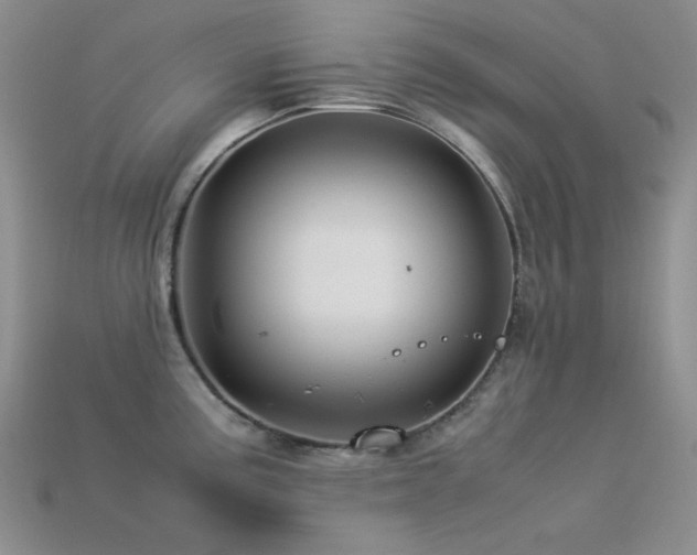 X0000113541195200909181150