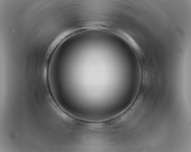 X0000113541196200909181150