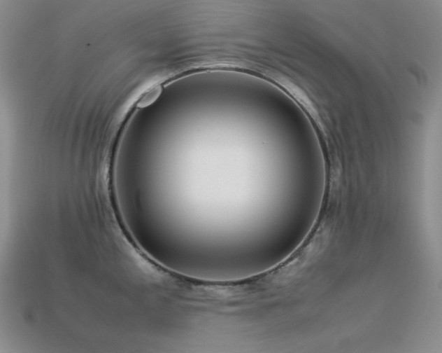 X0000113541197200909181150