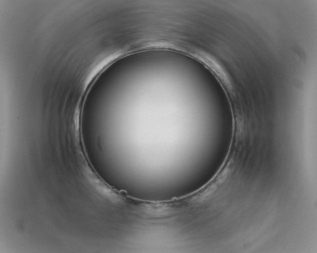 X0000113541198200909181150