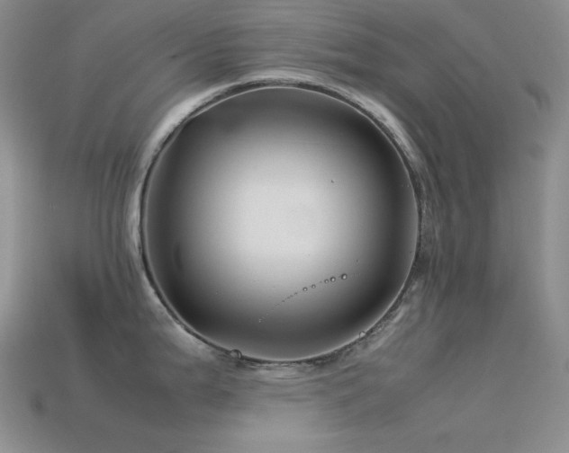 X0000113541199200909181150