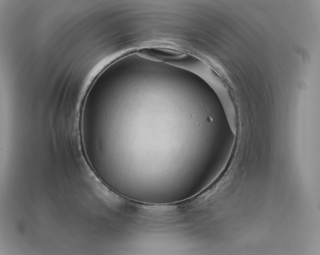 X0000113541200200909181150