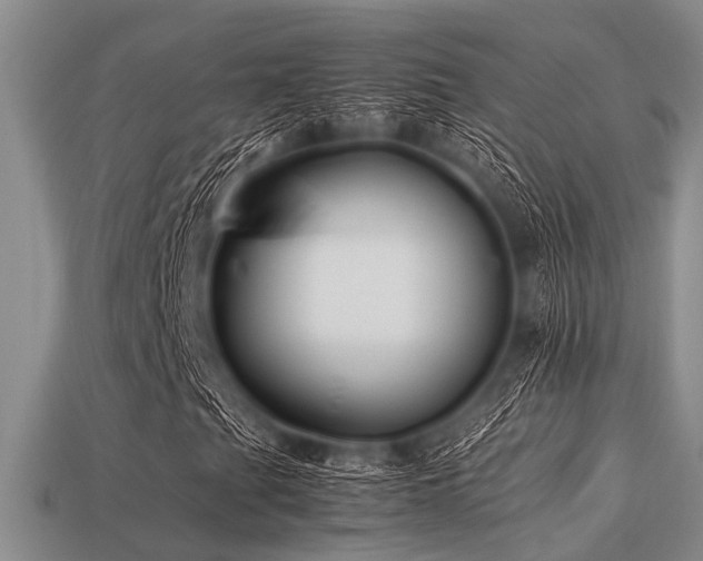 X0000113541201200909181149