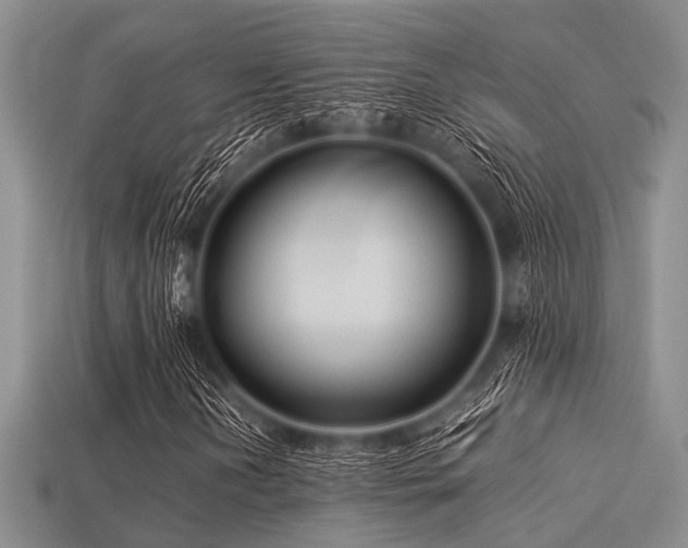 X0000113541202200909181149