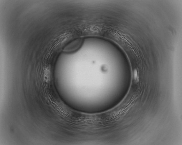 X0000113541203200909181149