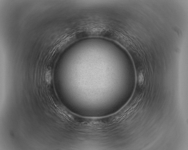 X0000113541204200909181149