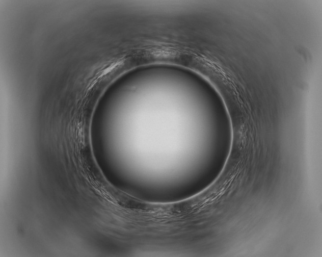 X0000113541205200909181149