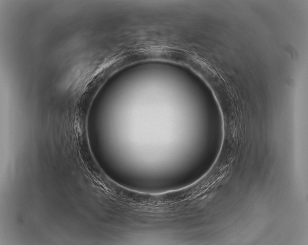 X0000113541206200909181149