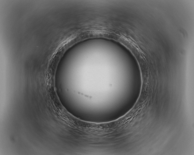 X0000113541207200909181149