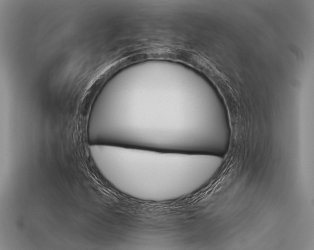 X0000113541208200909181149