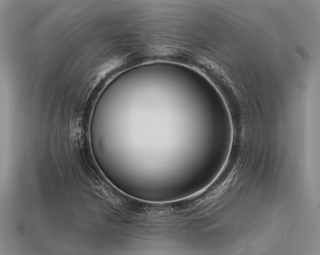 X0000113541210200909181149