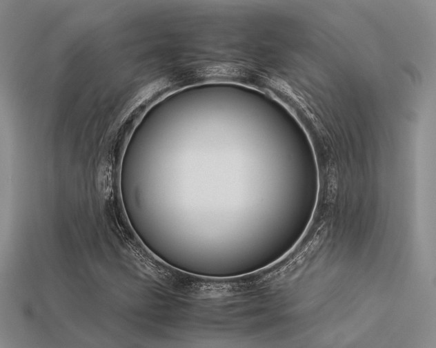 X0000113541211200909181149