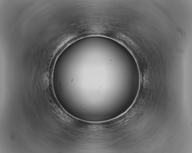 X0000113541212200909181149