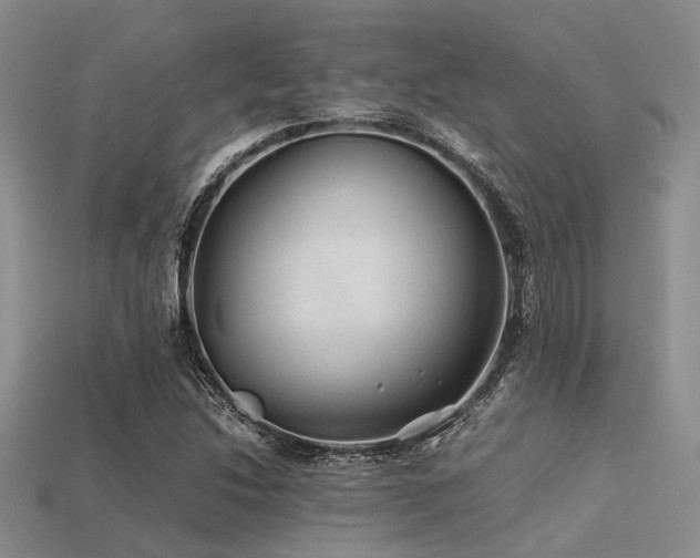 X0000113541214200909181149