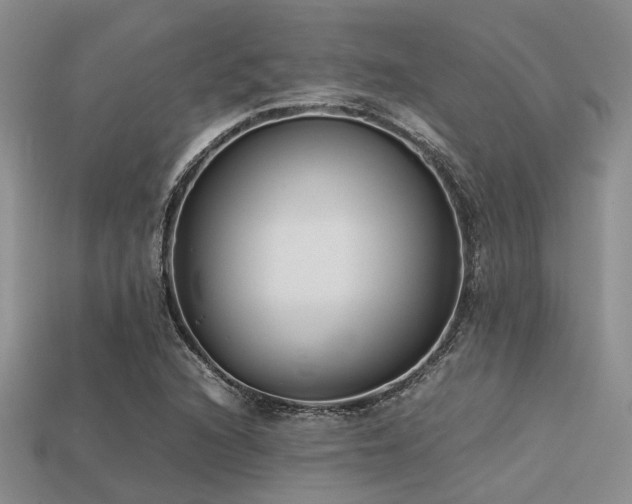 X0000113541216200909181149