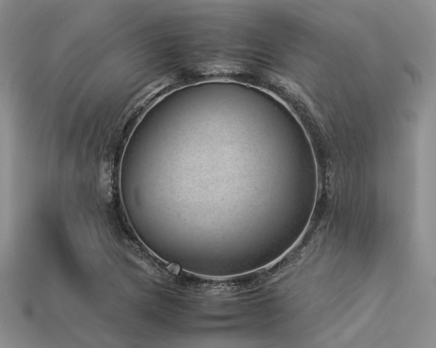 X0000113541217200909181149