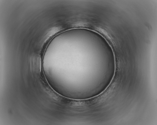 X0000113541219200909181149