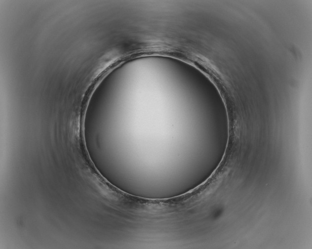 X0000113541220200909181149