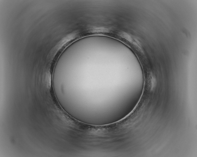 X0000113541221200909181149