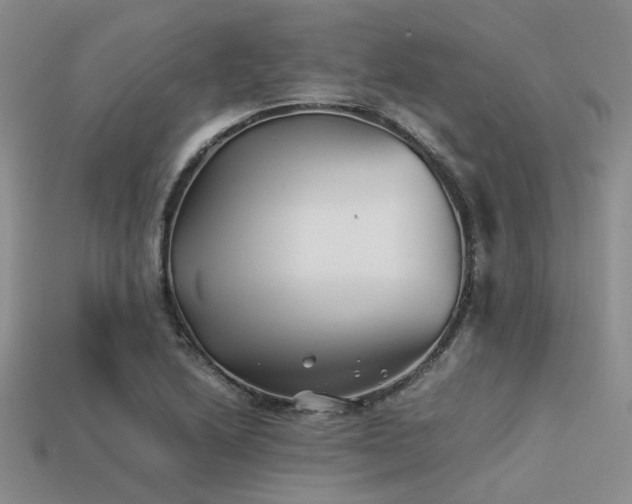 X0000113541222200909181149