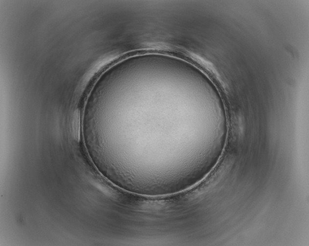X0000113541223200909181149
