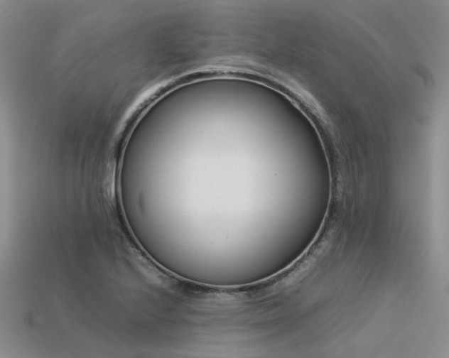 X0000113541224200909181149