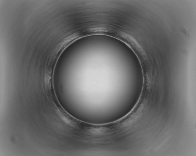 X0000113541225200909181149