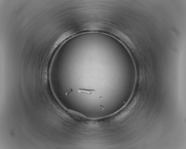 X0000113541226200909181149