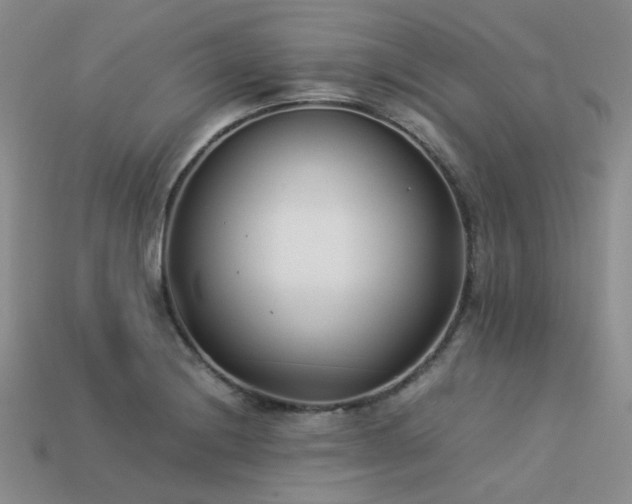 X0000113541228200909181149