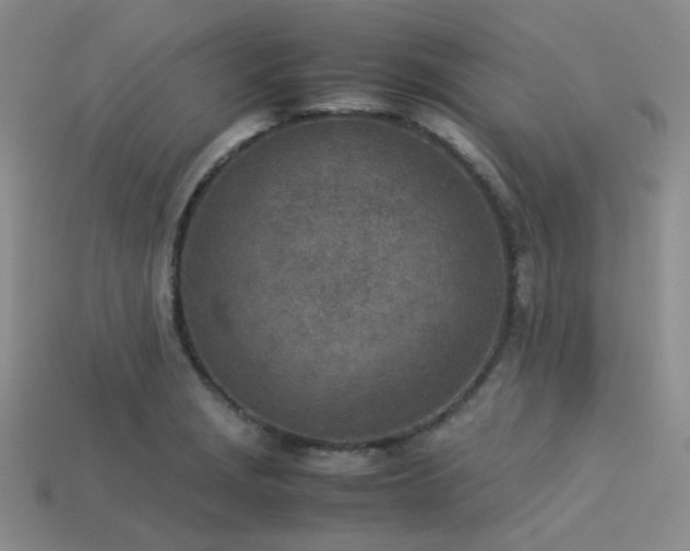 X0000113541229200909181149