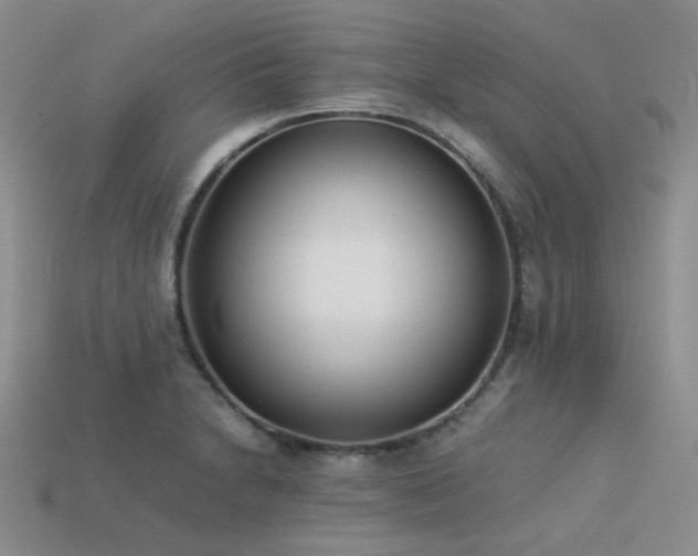 X0000113541230200909181149
