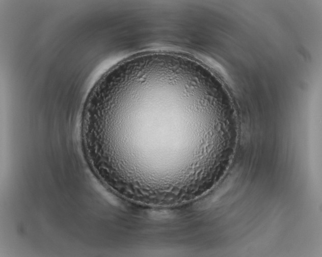 X0000113541231200909181149