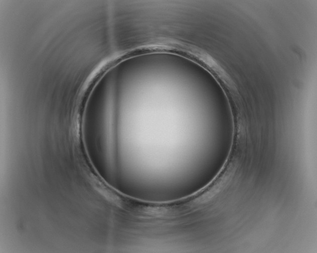 X0000113541232200909181149