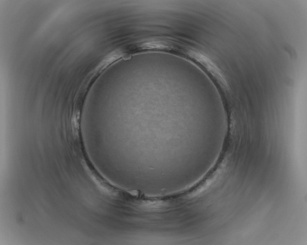 X0000113541233200909181150