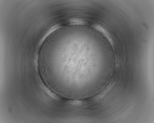 X0000113541235200909181150
