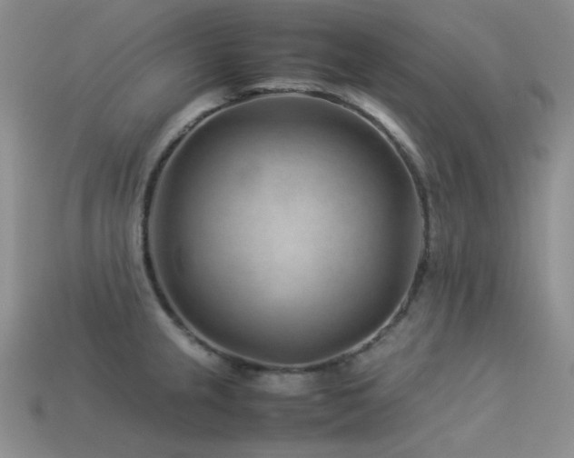 X0000113541237200909181150