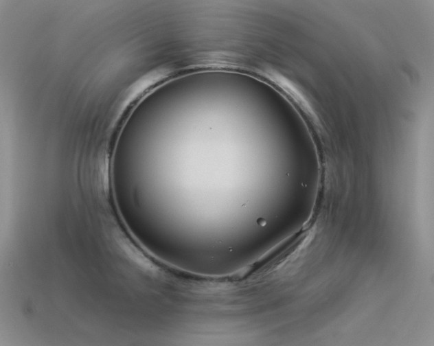 X0000113541238200909181150