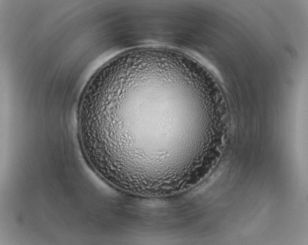 X0000113541239200909181150
