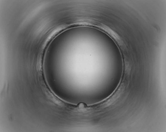 X0000113541240200909181150