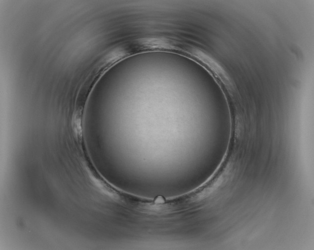 X0000113541241200909181150