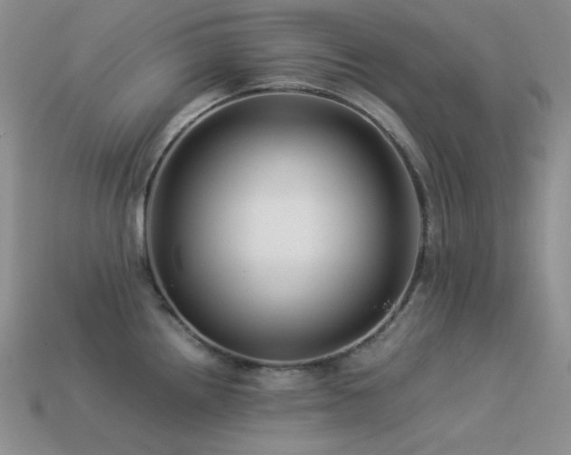 X0000113541242200909181150