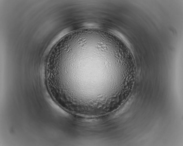 X0000113541243200909181150