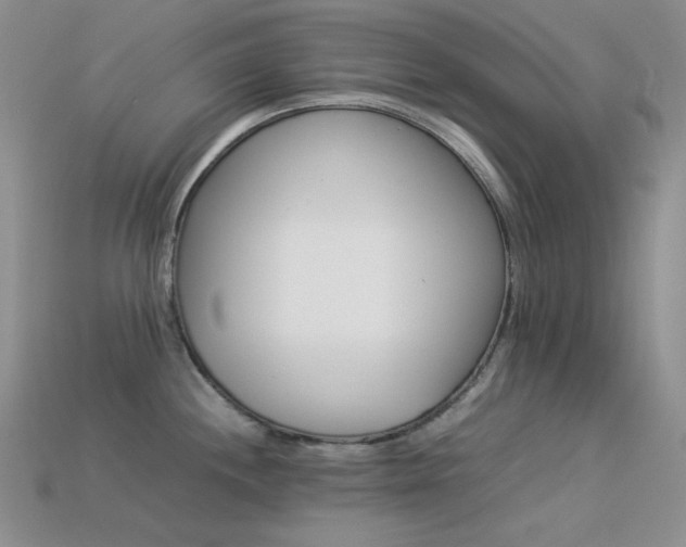 X0000113541244200909181150