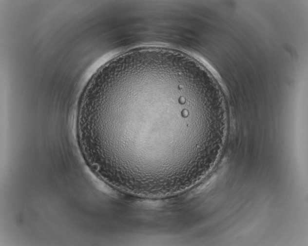 X0000113541245200909181150