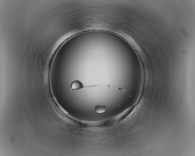 X0000113541246200909181150