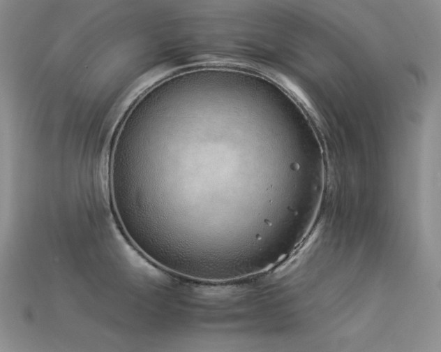 X0000113541247200909181150