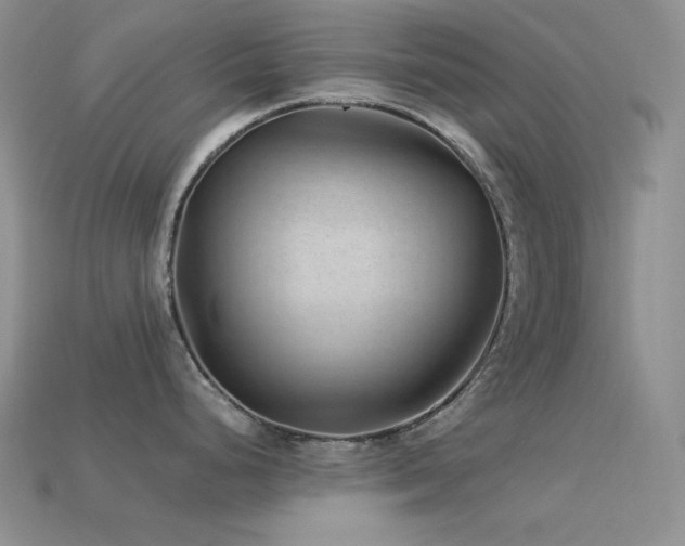 X0000113541248200909181150